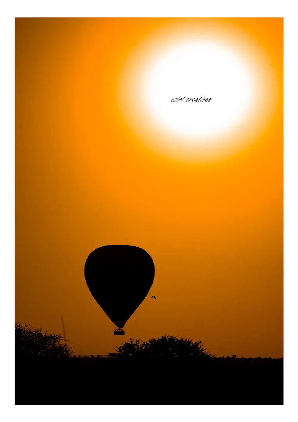 silhouettes photo 7