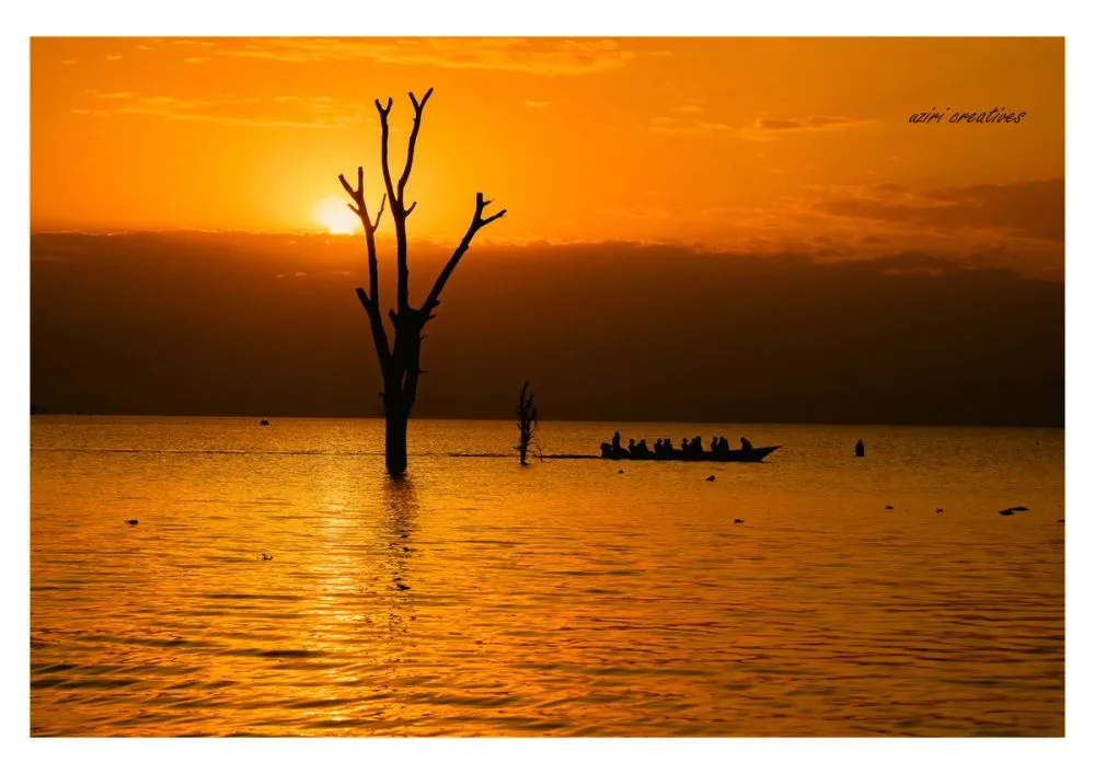 silhouettes photo 16