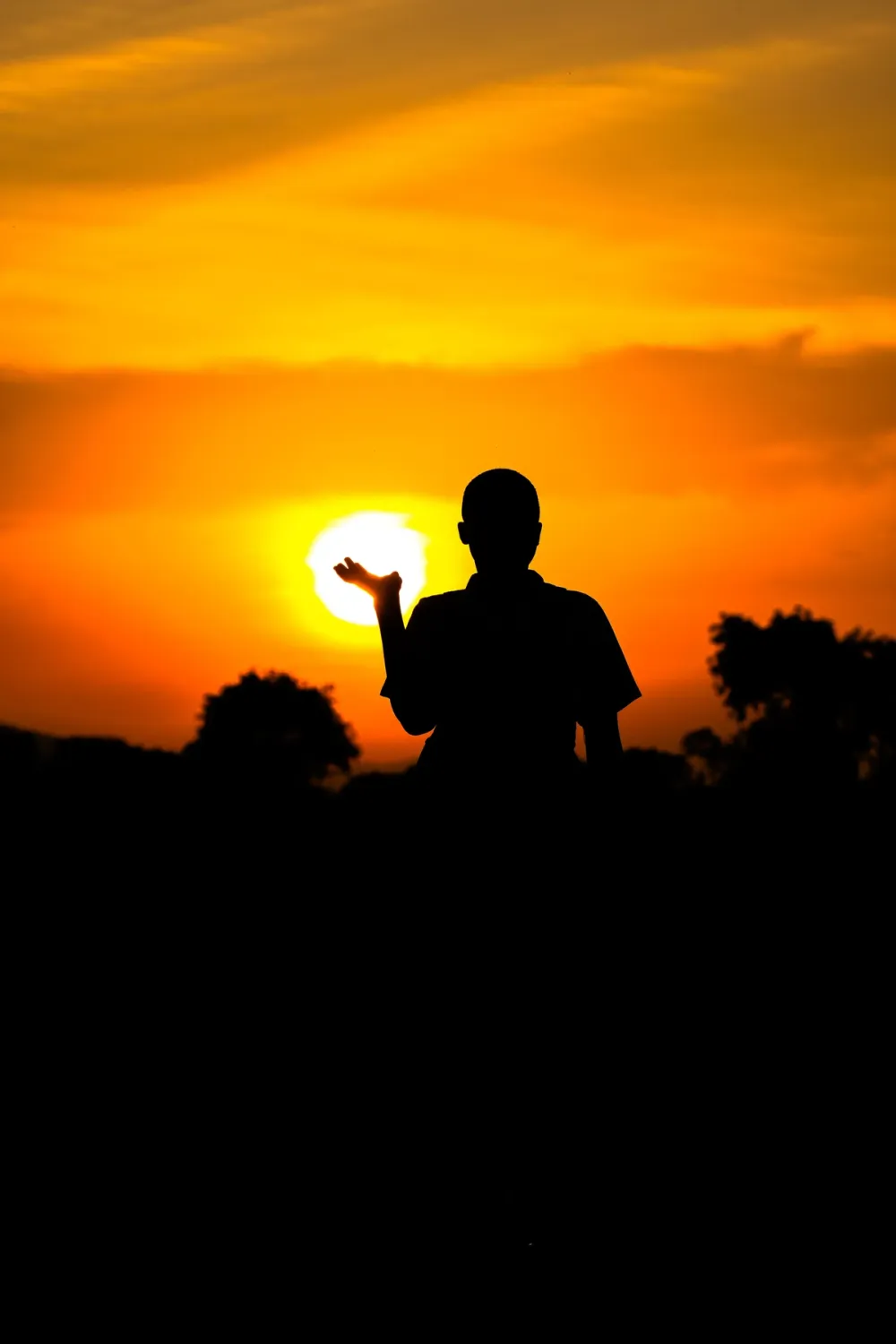 silhouettes photo 11