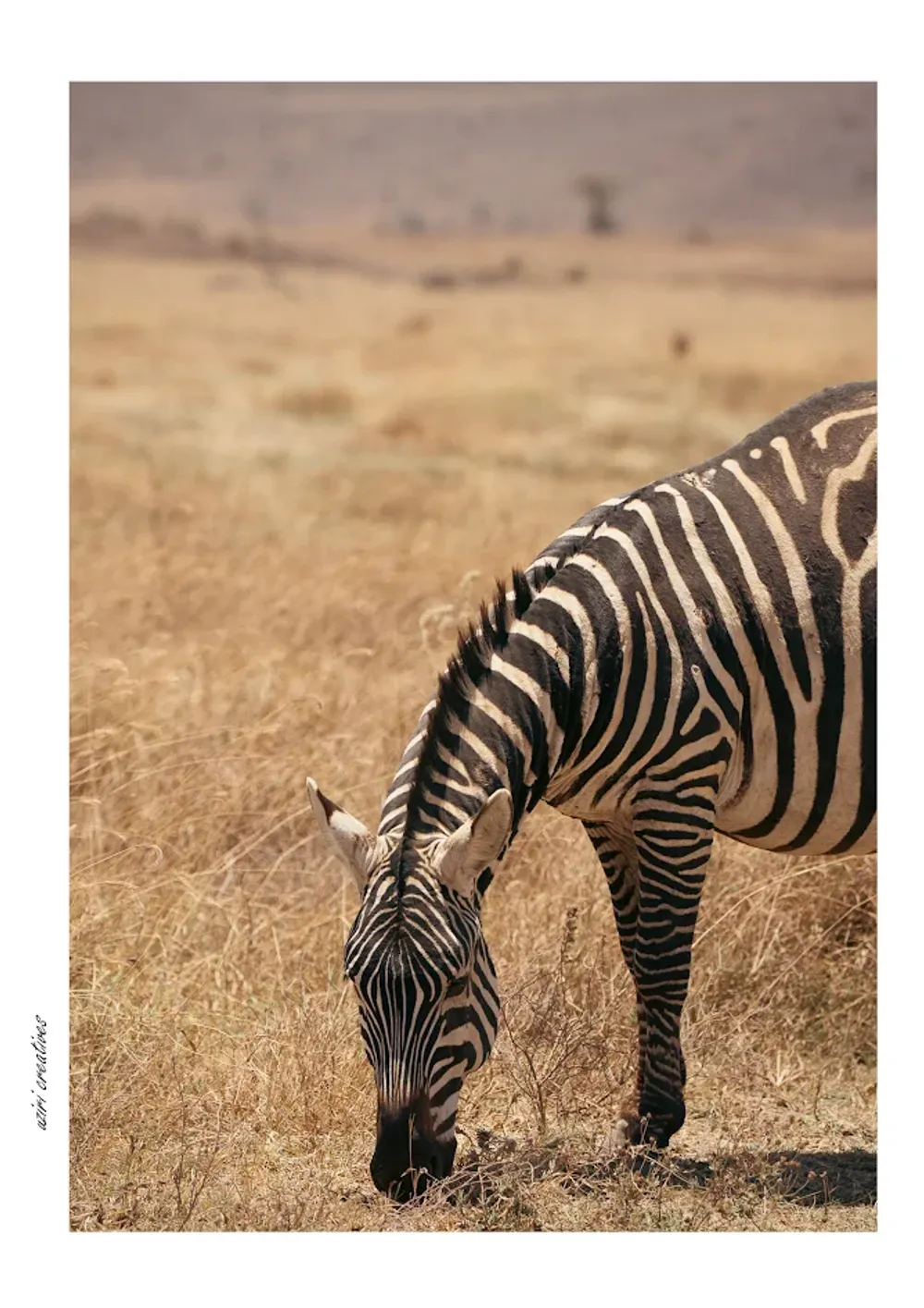 Serengeti Tanzania photo 8