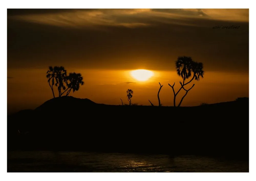 silhouettes photo 14